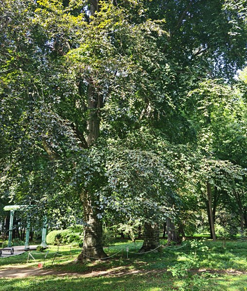 104-Парк имени Беккера